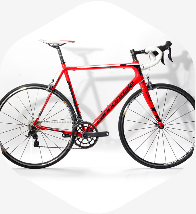 Radel Bluschke Fahrradladen Osnabrück MTB • Rennrad