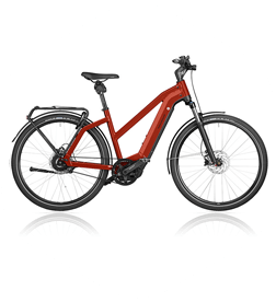 E-Bike Pedelec Osnabrück